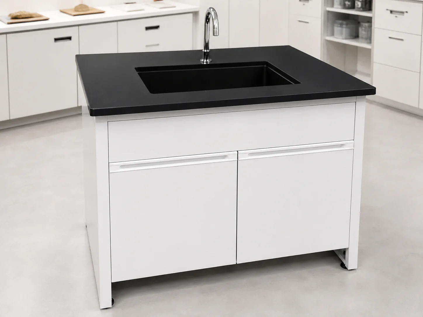 Conservation laboratory workstations, utilities and workflow planning