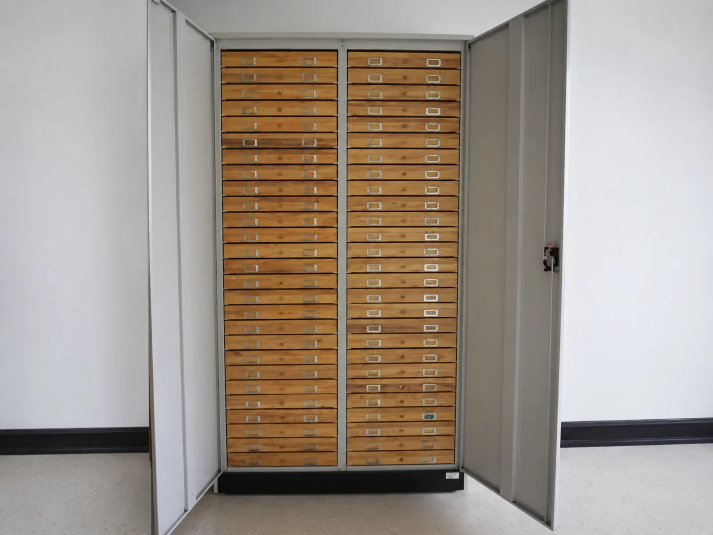 Entomology & Natural History Specimen Storage Cabinet