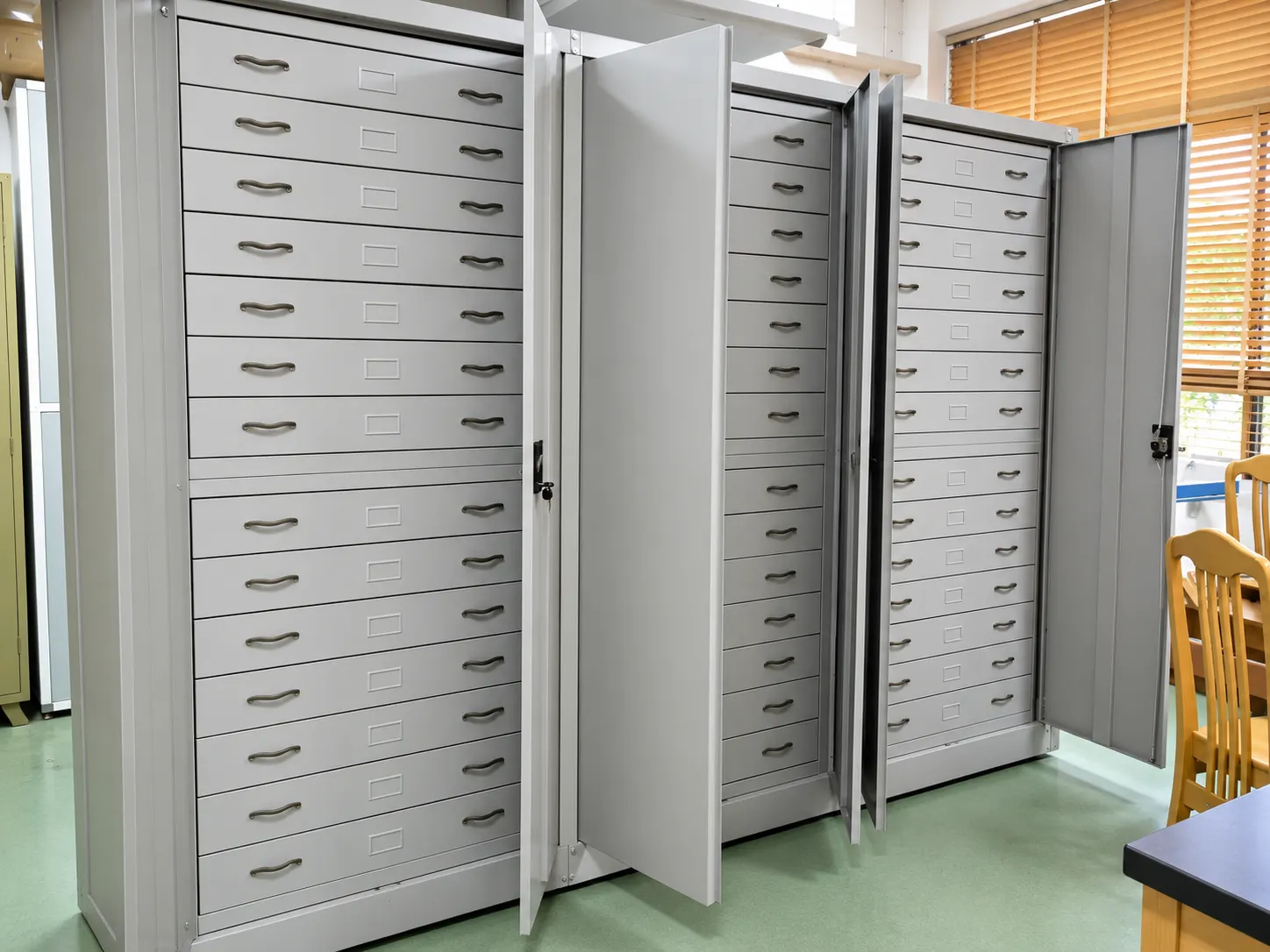 Open museum specimen cabinets with removable drawers
